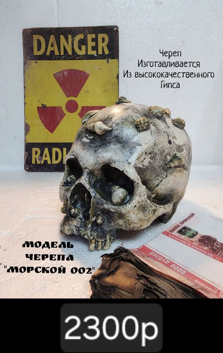 Череп "Морской" второй