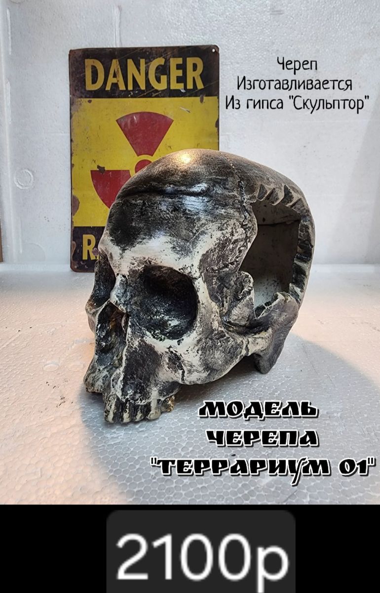 Череп "Террариум"