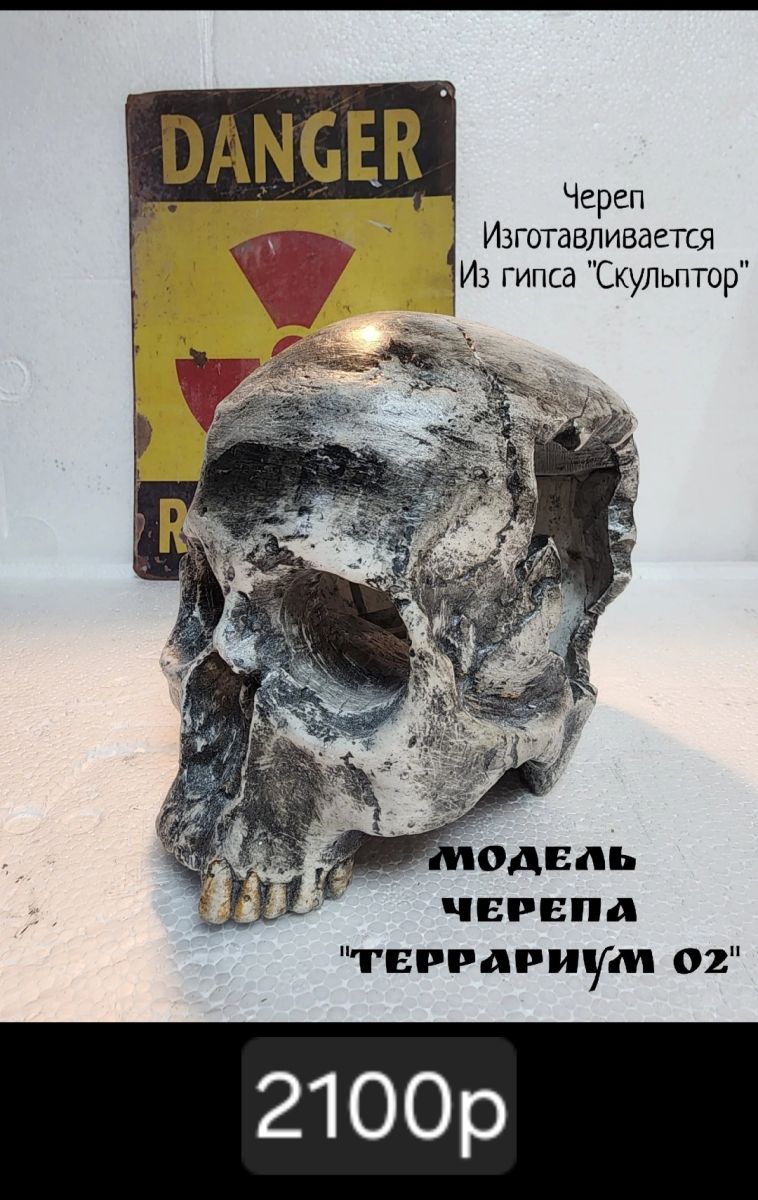 Череп "Террариум" глазницы