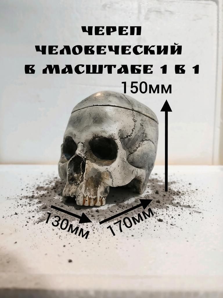 Череп "Обугленный" разборный