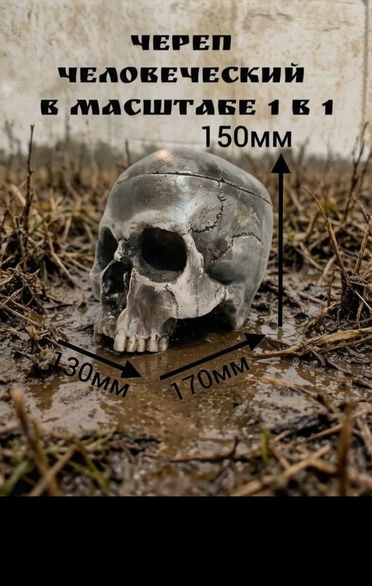 Череп "Гнилой" разборный